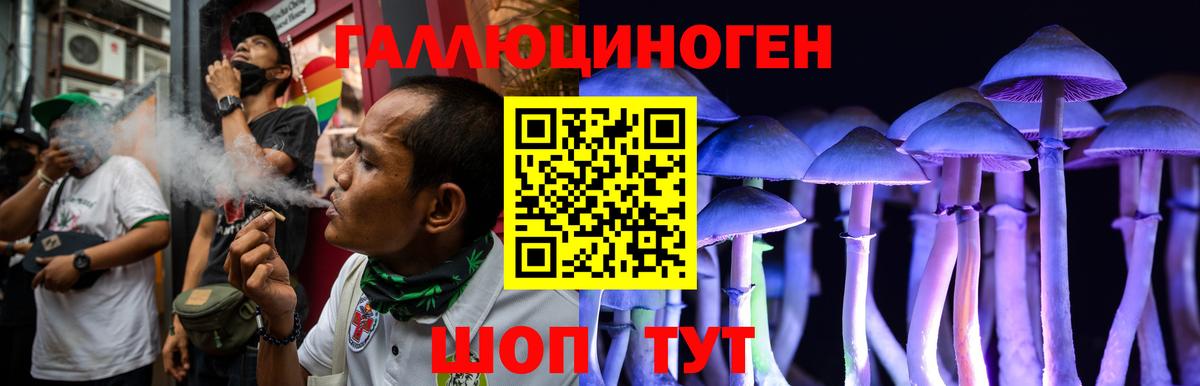 Кашира  магазин продажи наркотиков  Вход с VPN  Галлюциногенные грибы Cubensis 